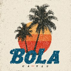 Bola na-Rede
