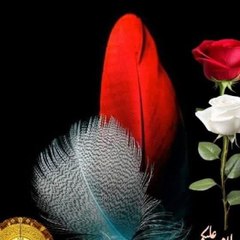 Muhammad Attique