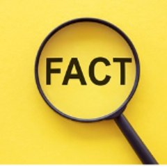 TheFacts0335