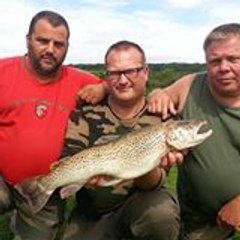 David Vieira da Silva