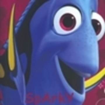 SpArkY20