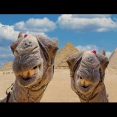 كوميديا.com