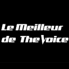 The Voice & Co