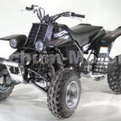 HAITIBANSHEE