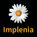 Implenia_IBU