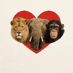 LovelyAnimals01