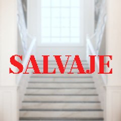 Serie Salvaje Español - Yabani