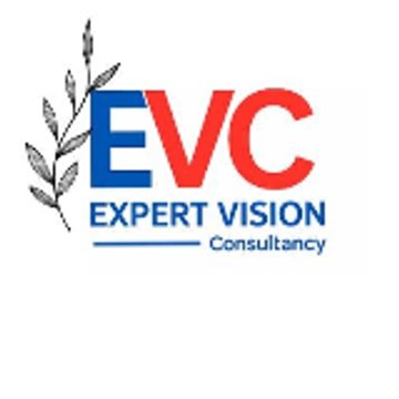Expert Vision Consultancy