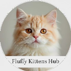 Fluffy Kitten Hub