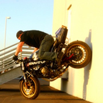 trotirider_O)     ^^