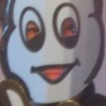 Christophe  LESBURGUERES