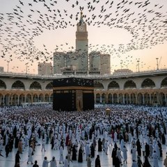 Muslim Mindset