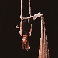 elise elise Peyrefitte