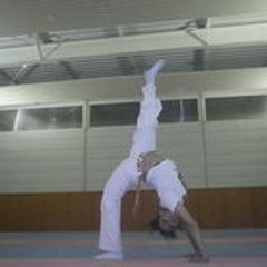 borboletaa