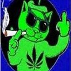 badcat78