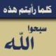 سبحان الله العظيم وبحمده