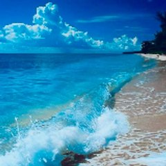 Entertainment for Mazaa