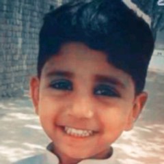 Funny videos