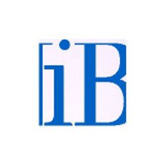 berlinibmagazinework