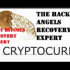 THE HACK ANGELS RECOVERY EXPERT