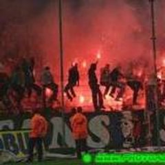 digny28