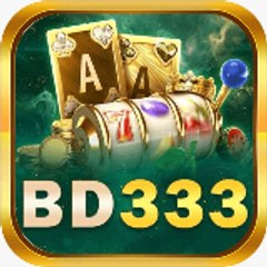 BD 333