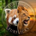 FurFlicks