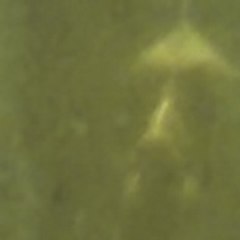 Eric