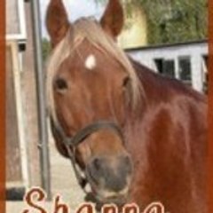 shanna350
