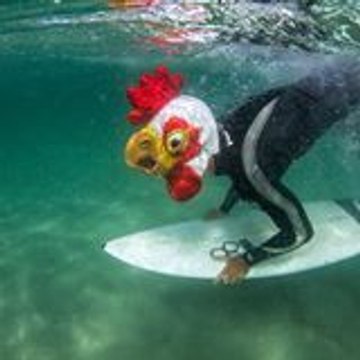 tinmarfreestyle