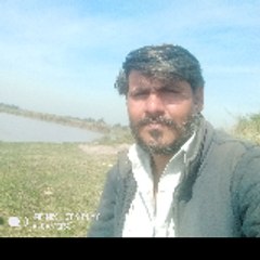 Silander