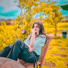 Talib Bahi