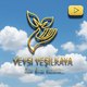 Veysi yeşilkaya