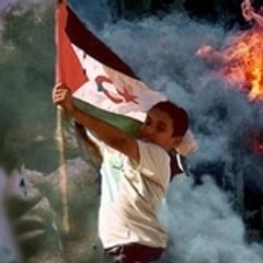 tayeb
