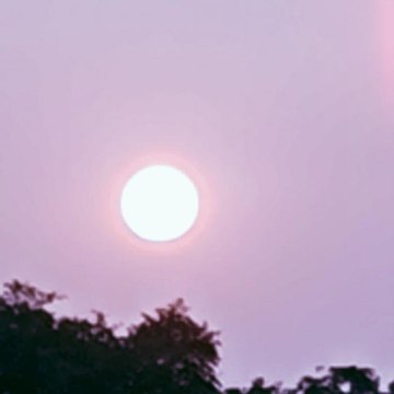 Rangrezz 8766