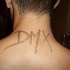 DmX2007