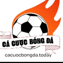 cacuocbongdatoday