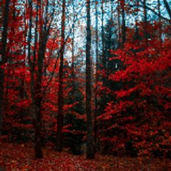 Daily YouTube newspaper