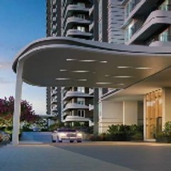 Purva Northern Lights