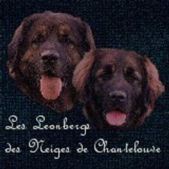 Chantelouve