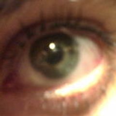 scelass
