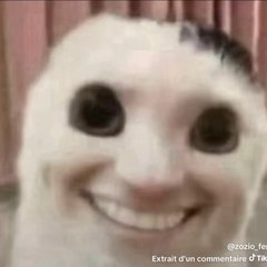 G crée ce compte juste pour noah