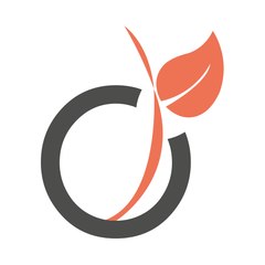 Viadeo