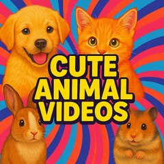 CUTE ANIMAL VIDEOS