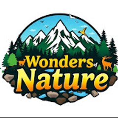 Wonders of nature