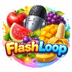 flashloop2.0