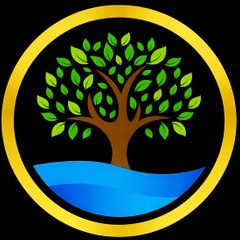 The Stock Market View