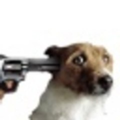 jasonr78