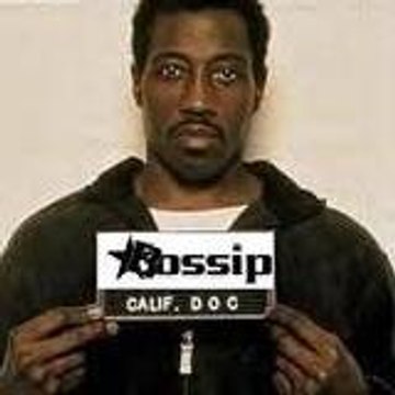 bossipfake