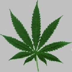 GeO_o